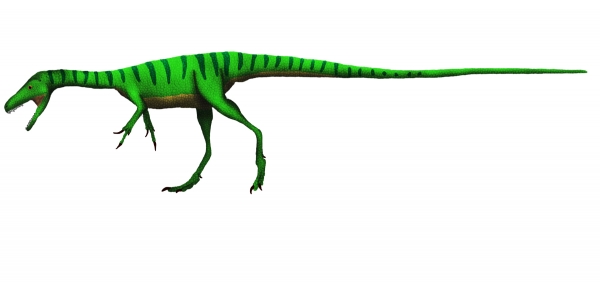 콤프소그나투스, 1990년대까지 가장 작은 공룡으로 알려졌었다