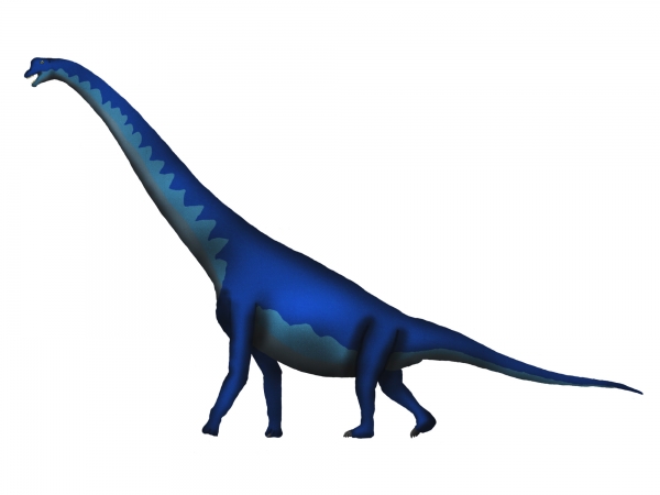 브라키오사우루스 / 한 때 이 공룡은 머리 꼭대기만 물밖에 내밀고 호흡하면서 물속을 누볐던 것으로 생각되어졌다