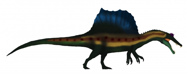 스피노사우루스 / 대형육식공룡 중 이례적으로 반수생 생활을 했던 것으로 추정된다