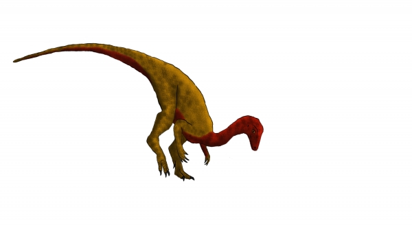 니아사사우루스 / 지금으로부터 2억 4700만년 전에 나타났다. 2012년 연구결과 덕분에 최초의 공룡이란 타이틀을 얻었다.