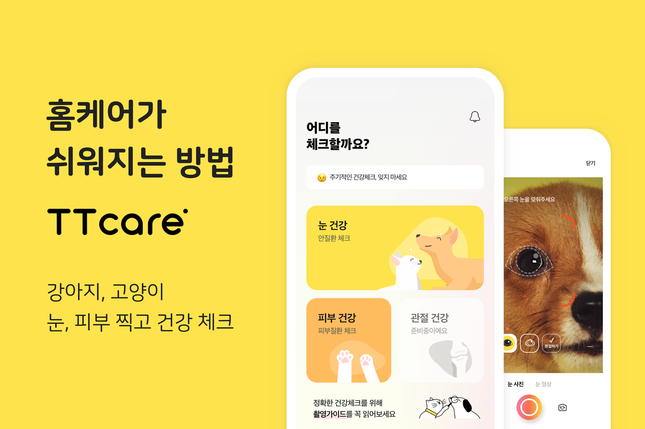 반려동물 건강관리 앱 서비스 '티티케어'