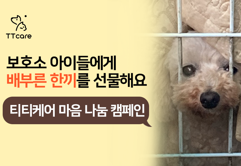 반려동물 건강 관리 앱 서비스 티티케어의 유기 동물 사료 기부 캠페인.