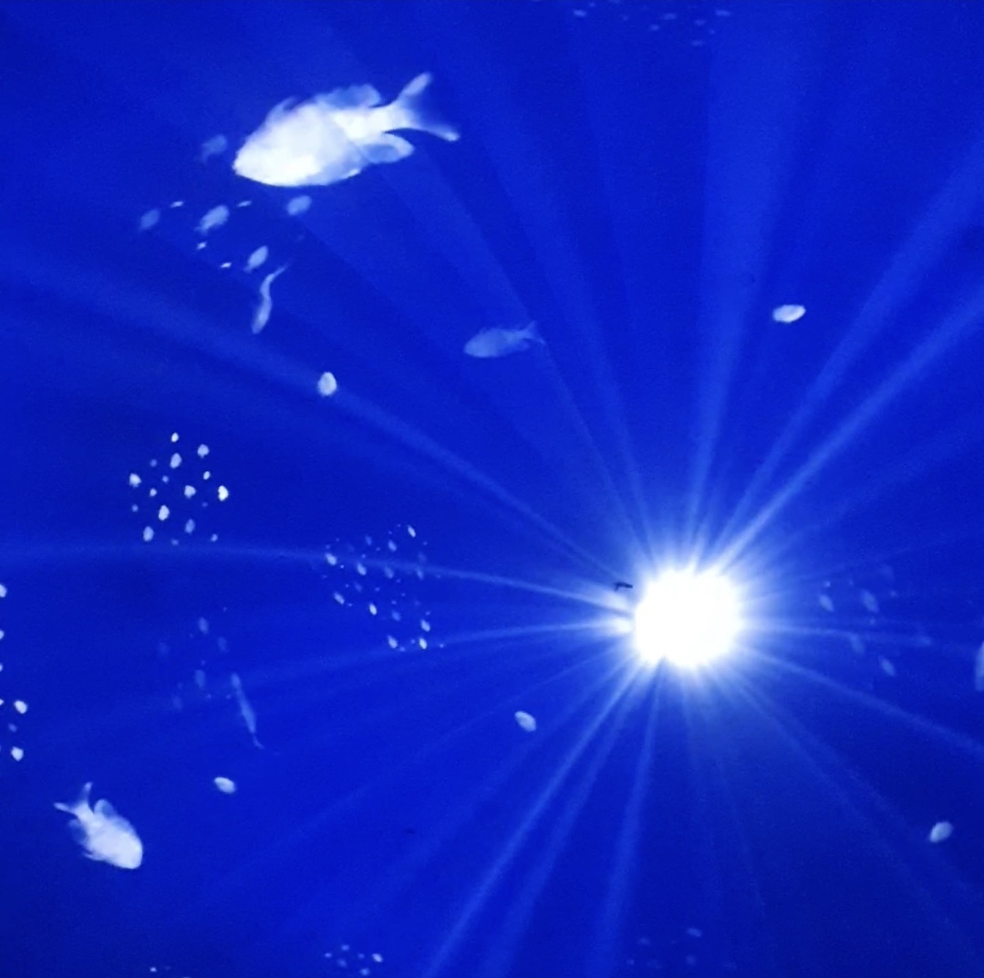 ▲헝가리 부다페스트 Fulldome에서 360 뮤직비디오 상영 작품모습