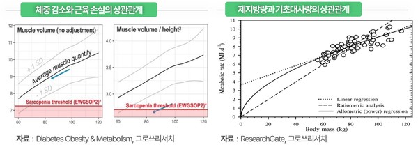glp 1 호르몬 그로쓰리서치, 'GLP-1 차세대 호르몬 치료제 산업 보고서' 발표 < 금융·증시 < 경제·산업 < 기사본문